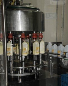 dairy %narticles Foodbuzz 24x24: Food Trail Adventure Sunshine Coast, Queensland, Australia